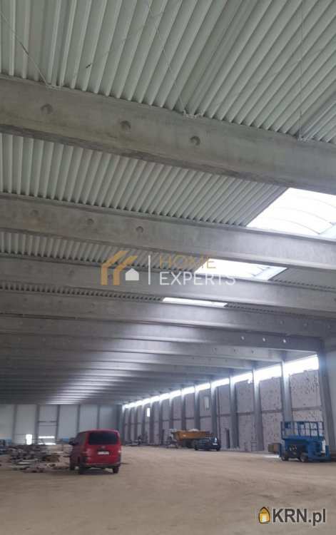 Nowy Dwór Gdański, ul. Żuławska, Lokal użytkowy  do wynajęcia, 