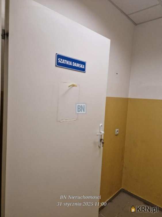 Ruda Śląska, ul. , Lokal użytkowy  do wynajęcia, 