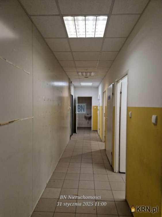 Ruda Śląska, ul. , , Lokal użytkowy  do wynajęcia