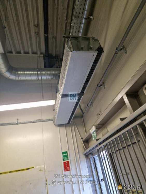 Lokal użytkowy  do wynajęcia, Ruda Śląska, ul. , 