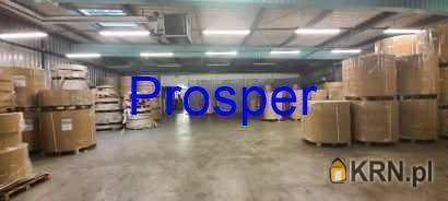 Lokal użytkowy  do wynajęcia, Sosnowiec, ul. , 