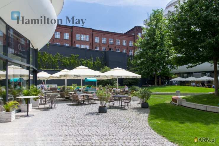 Hamilton May, Lokal użytkowy  do wynajęcia, Wrocław, Krzyki, ul. Podwale