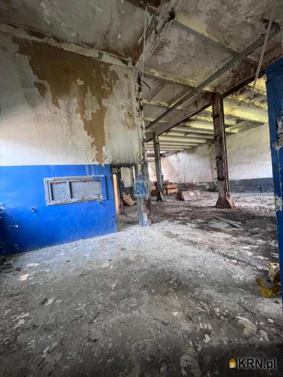 Zabrze, ul. , , Lokal użytkowy  na sprzedaż
