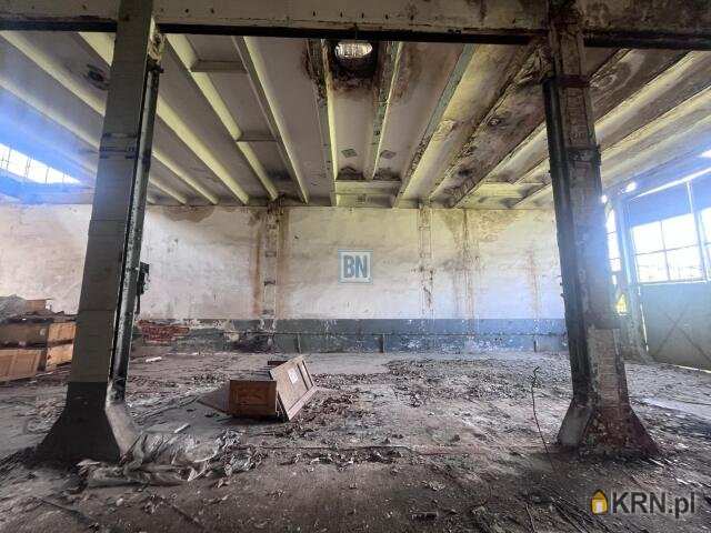 BN Nieruchomości, Lokal użytkowy  na sprzedaż, Zabrze, ul. 