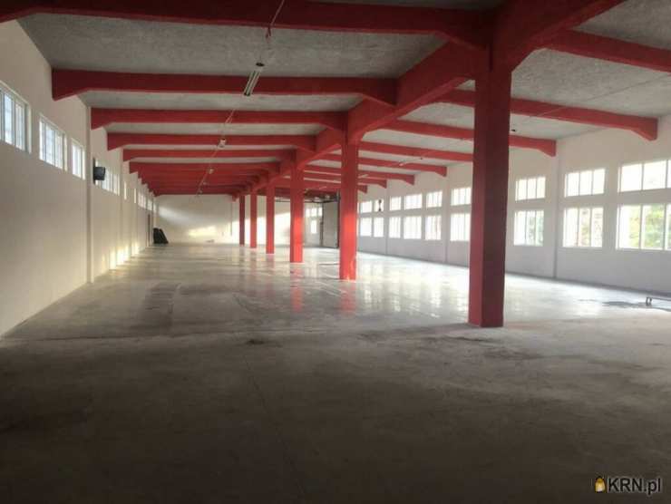 Lokal użytkowy  do wynajęcia, Skarżysko-Kamienna, ul. , 