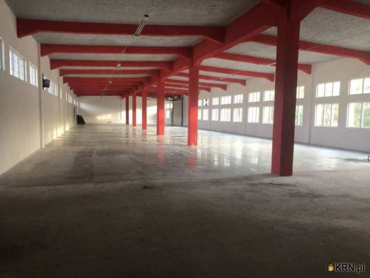 Lokal użytkowy  do wynajęcia, , Skarżysko-Kamienna, ul. 