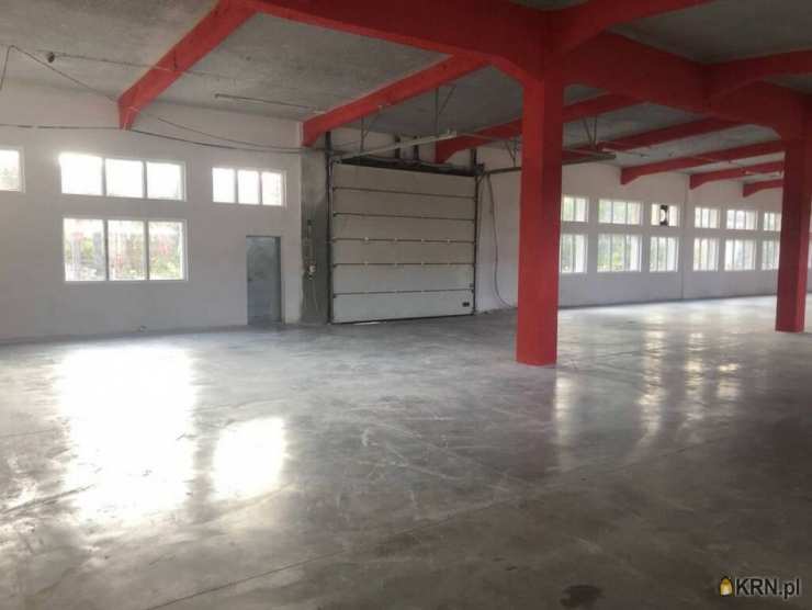 Skarżysko-Kamienna, ul. , Lokal użytkowy  do wynajęcia, 