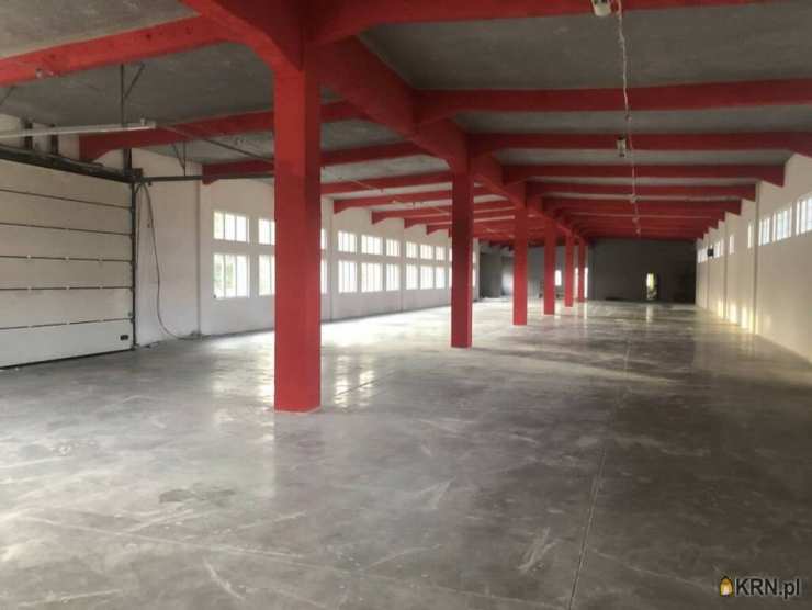 Skarżysko-Kamienna, ul. , , Lokal użytkowy  do wynajęcia