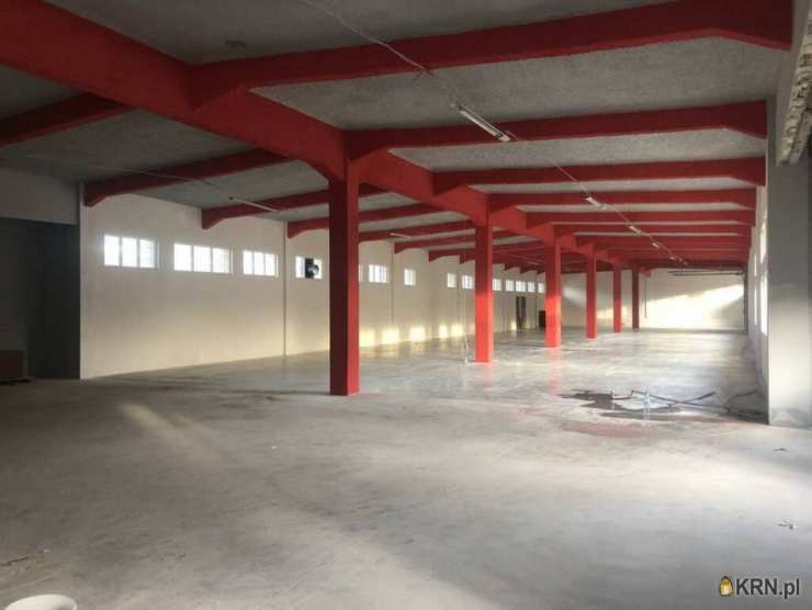 , Skarżysko-Kamienna, ul. , Lokal użytkowy  do wynajęcia