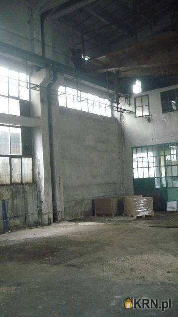 Lokal użytkowy  do wynajęcia, , Katowice, ul. 