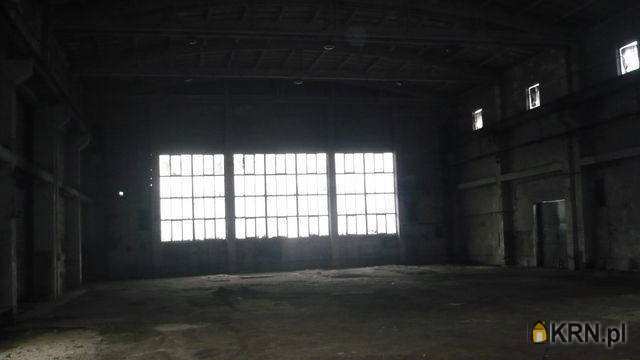 Katowice, ul. , Lokal użytkowy  do wynajęcia, 