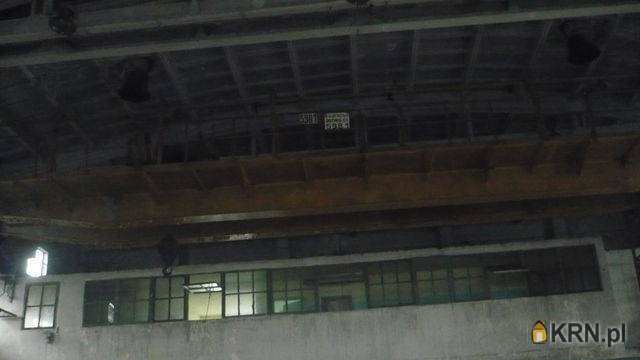 Katowice, ul. , , Lokal użytkowy  do wynajęcia