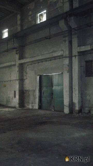, Katowice, ul. , Lokal użytkowy  do wynajęcia
