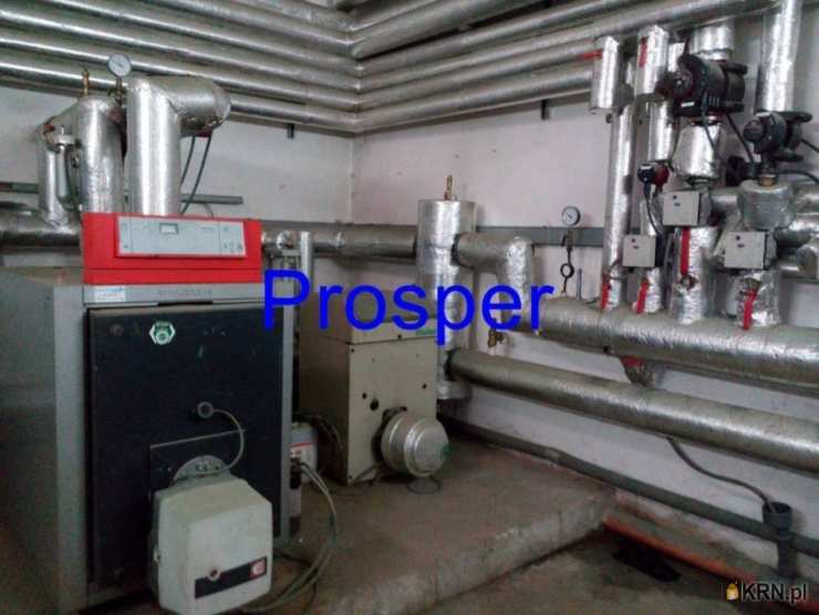 Lokal użytkowy  do wynajęcia, , Ruda Śląska, ul. 