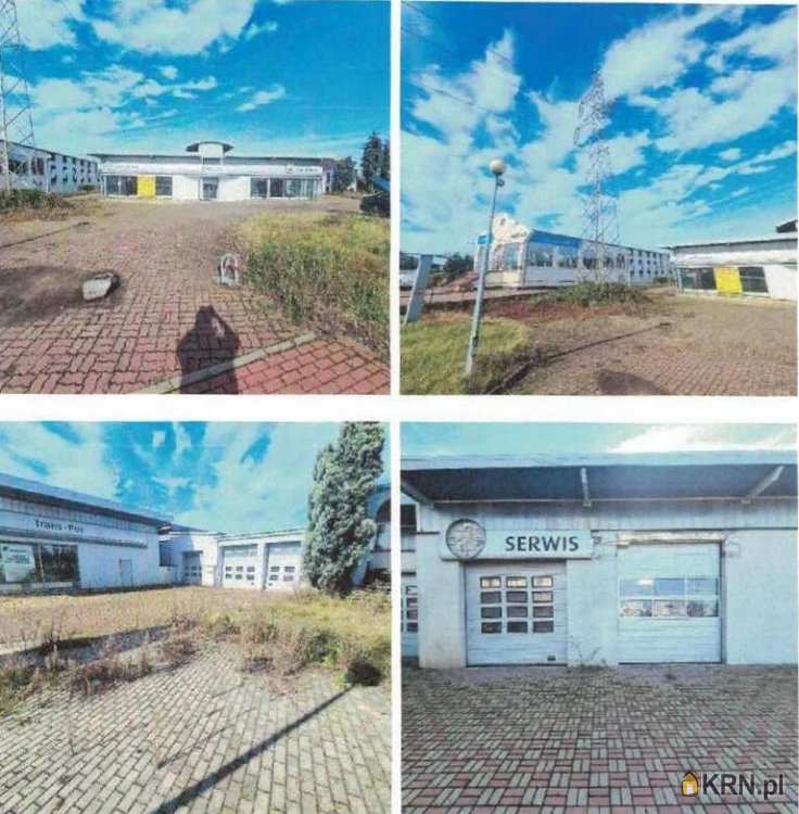 Lokal użytkowy  na sprzedaż, Kalisz, ul. , 