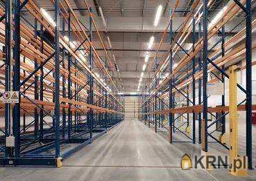 Lokal użytkowy  do wynajęcia, Radzionków, ul. , 