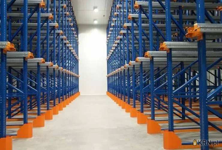 Lokal użytkowy  do wynajęcia, , Radzionków, ul. 