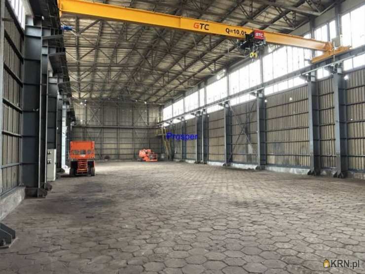 Lokal użytkowy  do wynajęcia, Mikołów, ul. , 