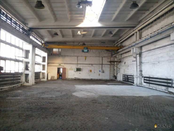 Lokal użytkowy  do wynajęcia, , Mysłowice, ul. 