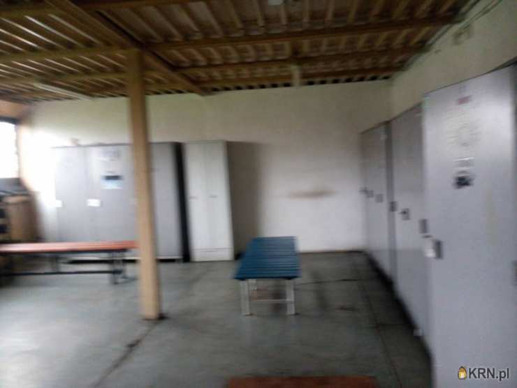 Mysłowice, ul. , Lokal użytkowy  do wynajęcia, 