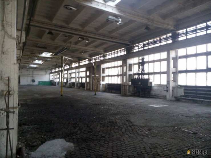 Lokal użytkowy  do wynajęcia, Mysłowice, ul. , 