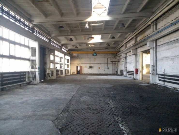 , Mysłowice, ul. , Lokal użytkowy  do wynajęcia