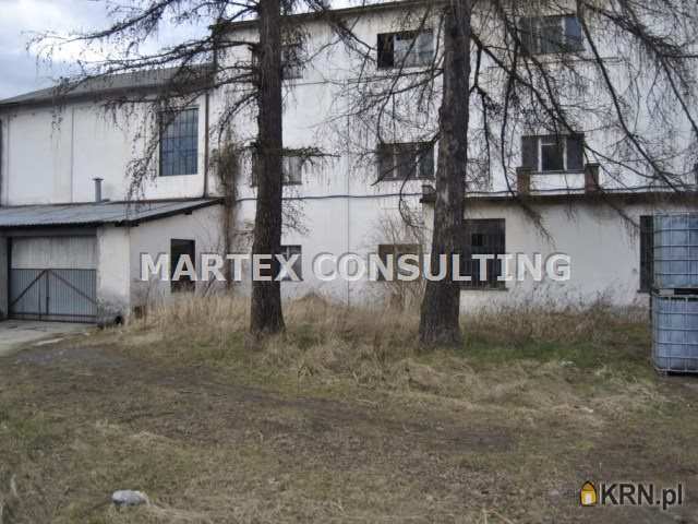 , Lokal użytkowy  do wynajęcia, Wodzisław Śląski, ul. 