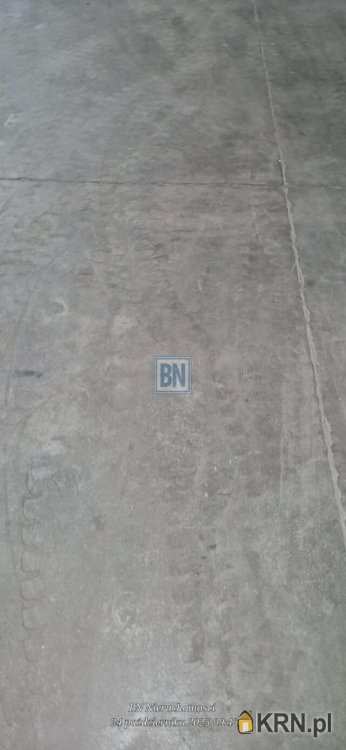 , Zabrze, ul. , Lokal użytkowy  do wynajęcia