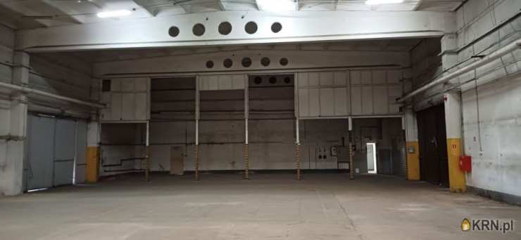 Poznań, Jeżyce, ul. Druskienicka, Lokal użytkowy  do wynajęcia, 