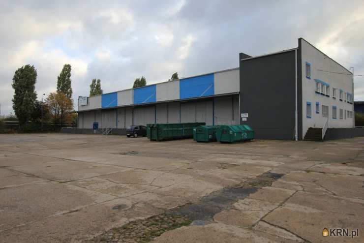 , Lokal użytkowy  do wynajęcia, Poznań, Jeżyce, ul. Druskienicka