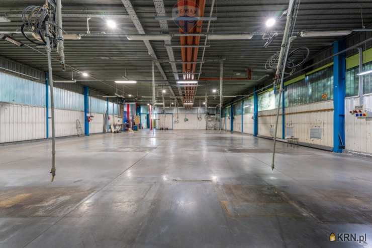 Lokal użytkowy  na sprzedaż, Warszawa, ul. , 10 pokojowe