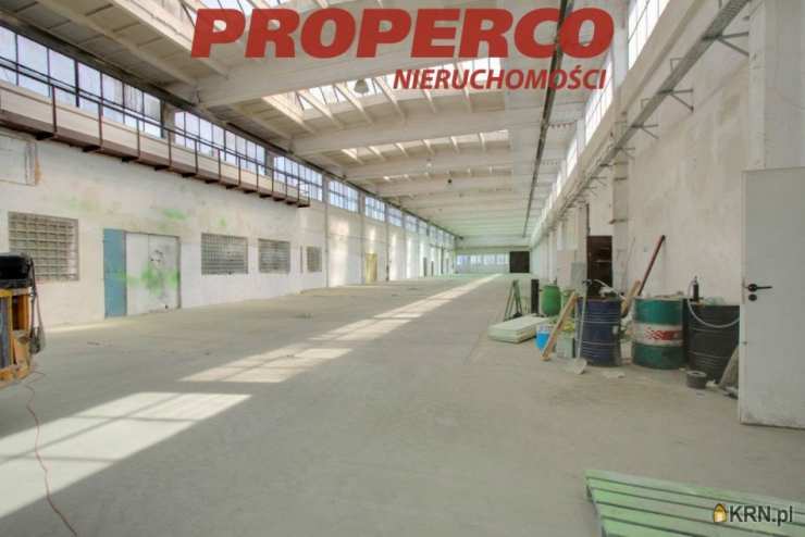 Kielce, ul. , Lokal użytkowy  do wynajęcia, 