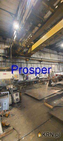 Lokal użytkowy  do wynajęcia, Sosnowiec, ul. , 