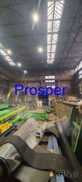 Lokal użytkowy  do wynajęcia, , Sosnowiec, ul. 