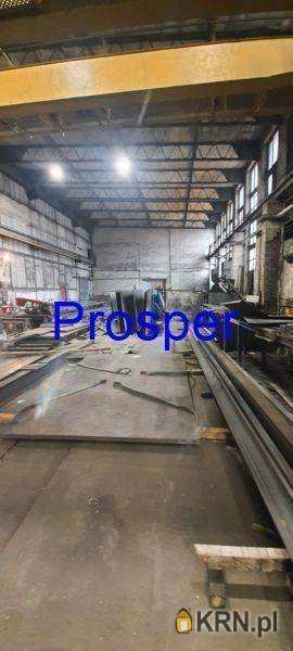 Sosnowiec, ul. , Lokal użytkowy  do wynajęcia, 