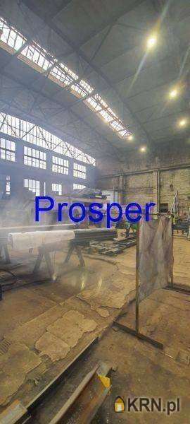 Sosnowiec, ul. , , Lokal użytkowy  do wynajęcia