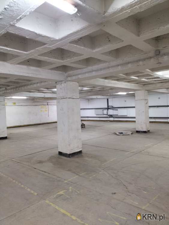 Sosnowiec, Pogoń, ul. Ptasia, Lokal użytkowy  do wynajęcia, 