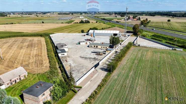 Lokal użytkowy  do wynajęcia, , Buk, ul. 