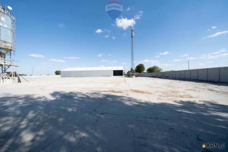 , Lokal użytkowy  do wynajęcia, Buk, ul. 