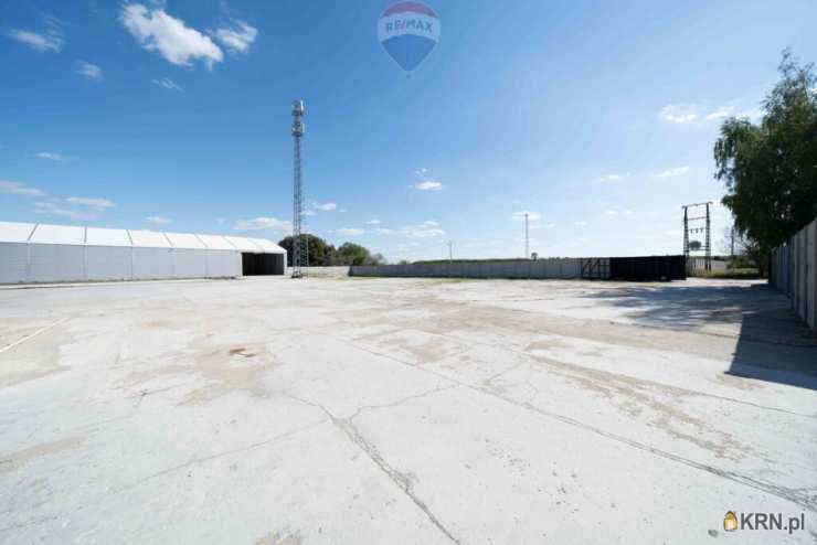 RE/MAX Polska, Lokal użytkowy  do wynajęcia, Buk, ul. 