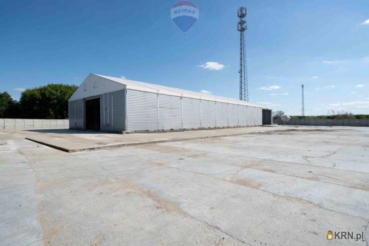 Lokal użytkowy  do wynajęcia, Buk, ul. , 