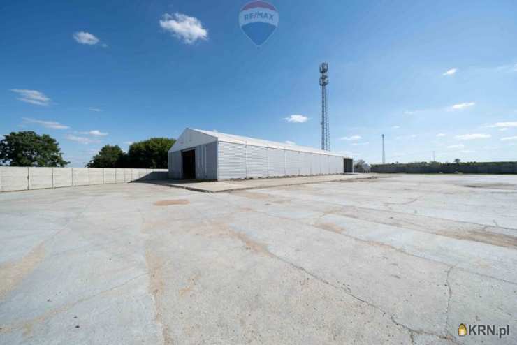 Lokal użytkowy  do wynajęcia, , Buk, ul. 