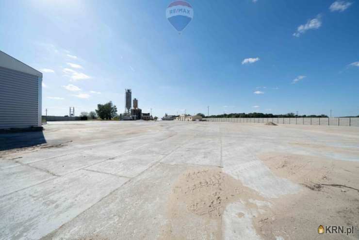 Buk, ul. , Lokal użytkowy  do wynajęcia, 