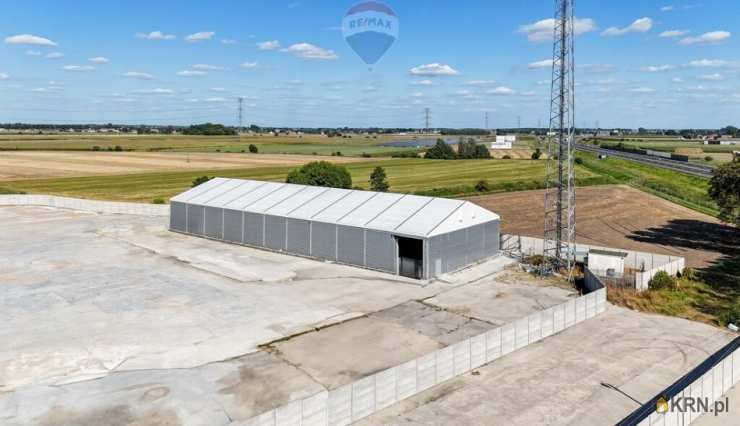 Buk, ul. , , Lokal użytkowy  do wynajęcia