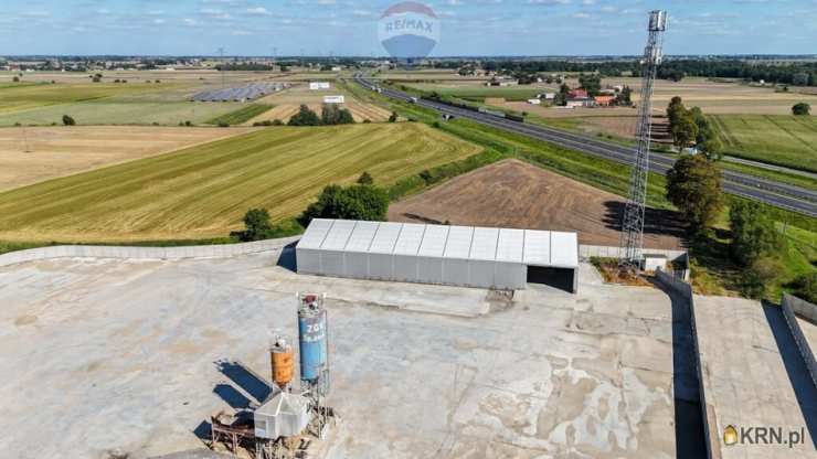 , Buk, ul. , Lokal użytkowy  do wynajęcia