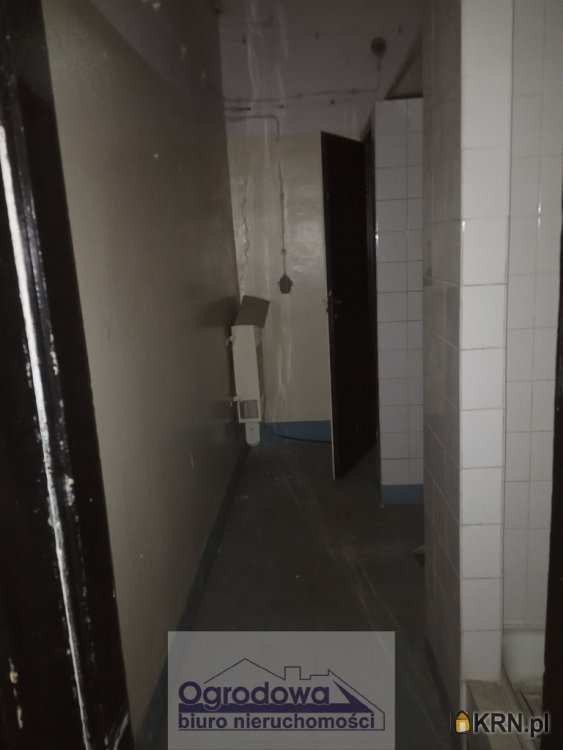 , Warszawa, Wola, ul. , Lokal użytkowy  do wynajęcia