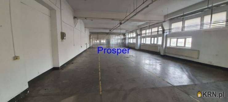 Lokal użytkowy  do wynajęcia, , Katowice, ul. 