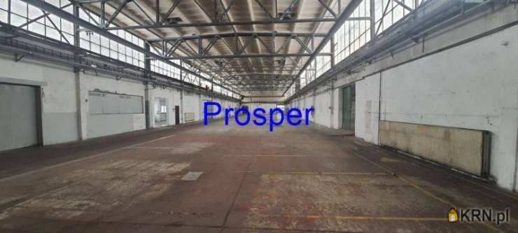 Lokal użytkowy  do wynajęcia, Katowice, ul. , 