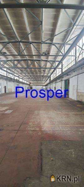 Lokal użytkowy  do wynajęcia, , Katowice, ul. 