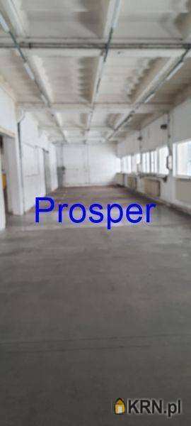 Katowice, ul. , , Lokal użytkowy  do wynajęcia